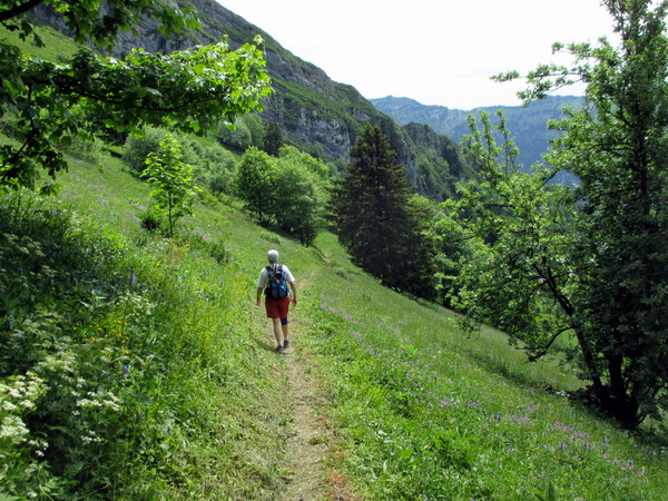 Photograph of a meadow on the way up La Scia