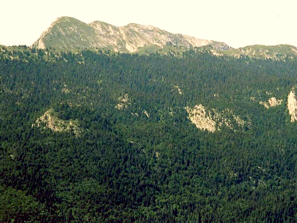 Photograph of the eastern slopes of la Grande Sure