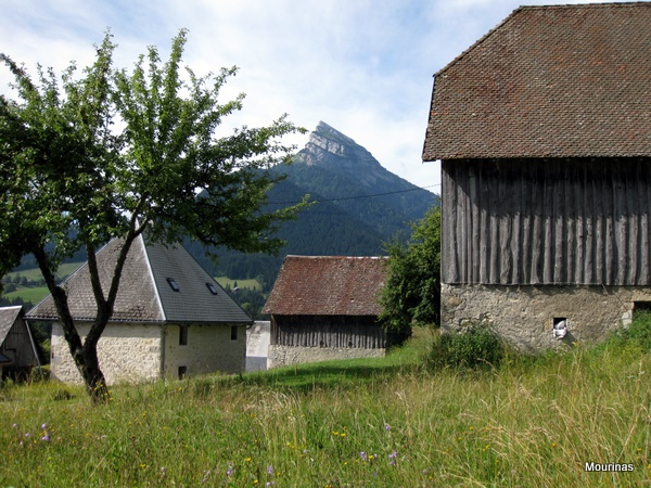 Photograph of an attractive group of typically Carthusian buildings at Mourinas, St. Pierre de Chartreuse