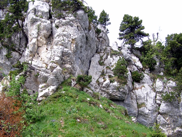 Photograph of the descent on the Crête de Forneau