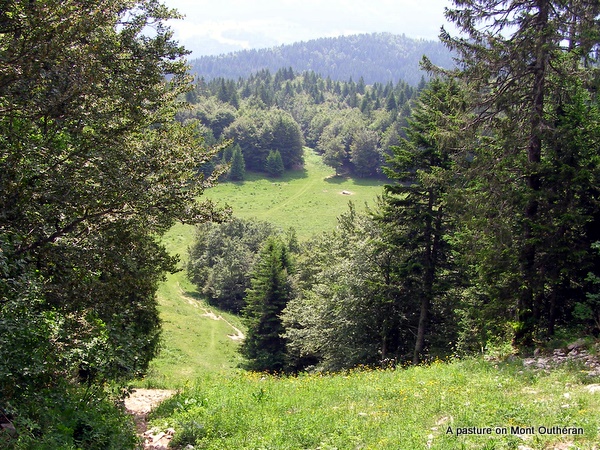 Photograph of the pastures crossed during the ascent of Mont Outhéran