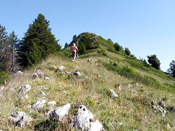 Photograph of the south ridge of Pravouta approaching the false summit
