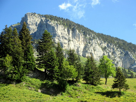Photograph of the southern cliffs of Mont Granier from the Bergerie de l'Alpette