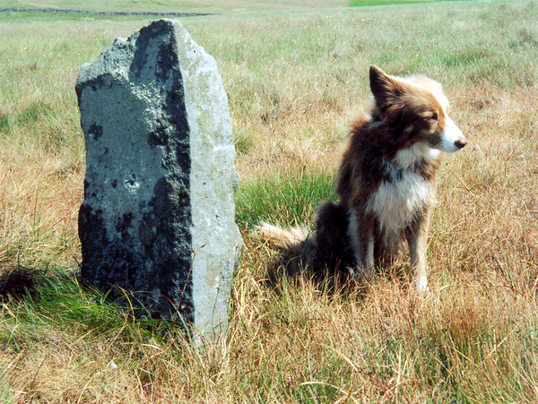 Photograph of meer stone 15 - Grassington Moor