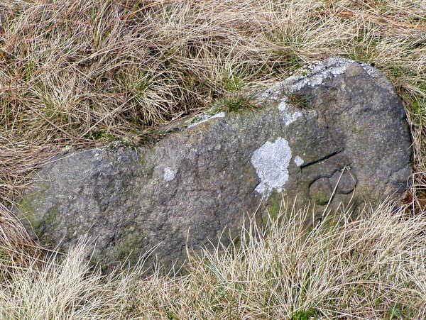 Photograph of meer stone 23 - Grassington Moor