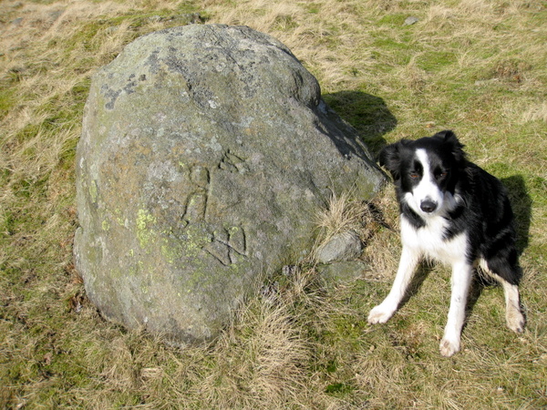 Photograph of meer stone 33 - Grassington Moor