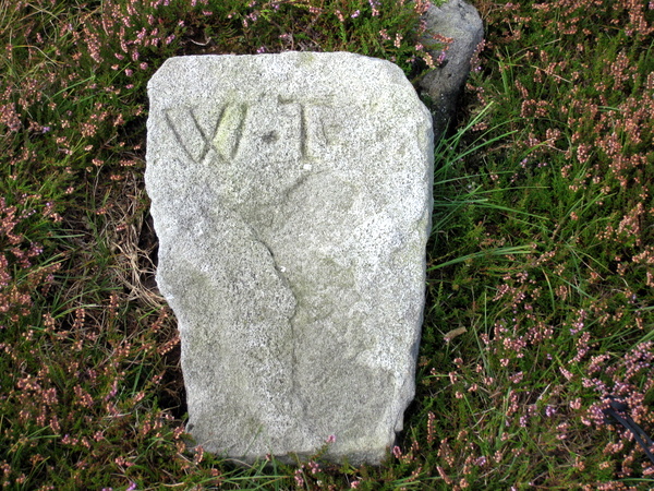 Photograph of meer stone 35 - Grassington Moor