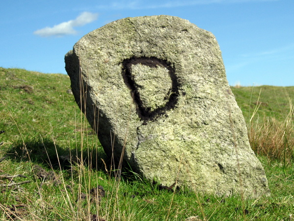 Photograph of meer stone 36 - Grassington Moor