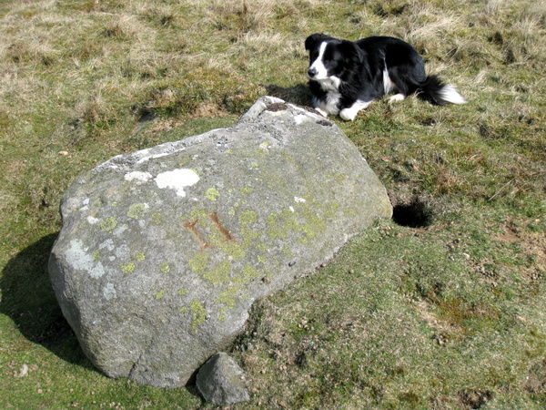 Photograph of meer stone 44 - Grassington Moor