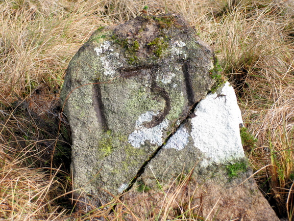 Photograph of meer stone 46 - Grassington Moor