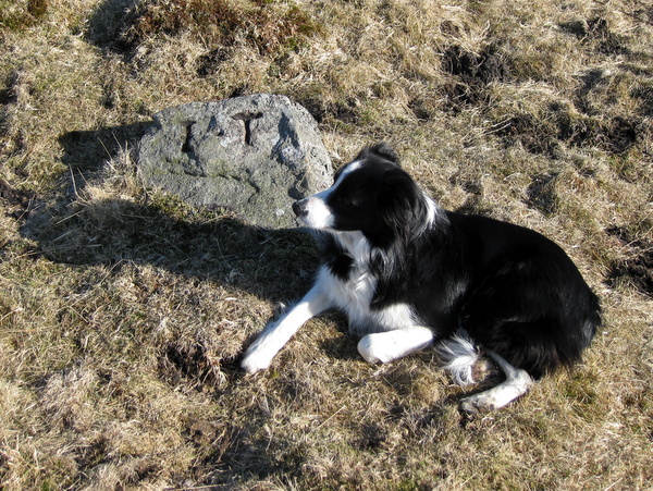 Photograph of meer stone 59 - Grassington Moor